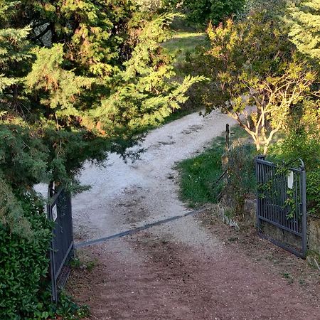 Il Rusticano Chianni Buitenkant foto