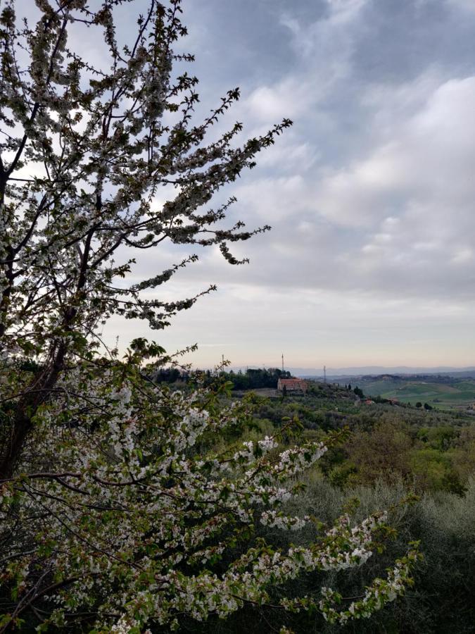 Il Rusticano Chianni Buitenkant foto
