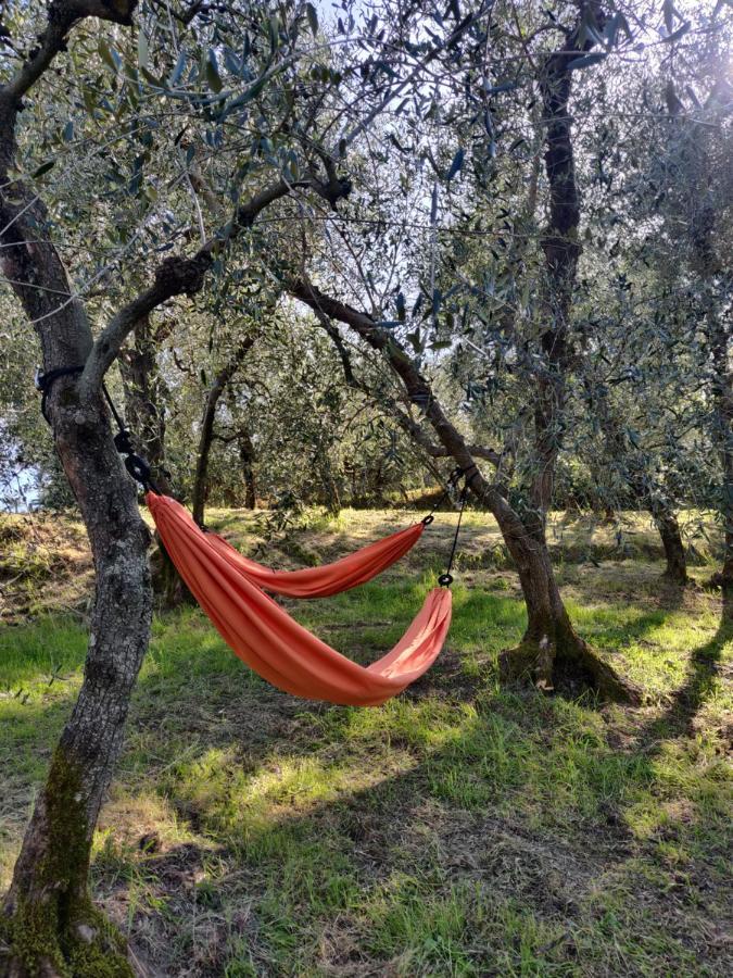 Il Rusticano Chianni Buitenkant foto